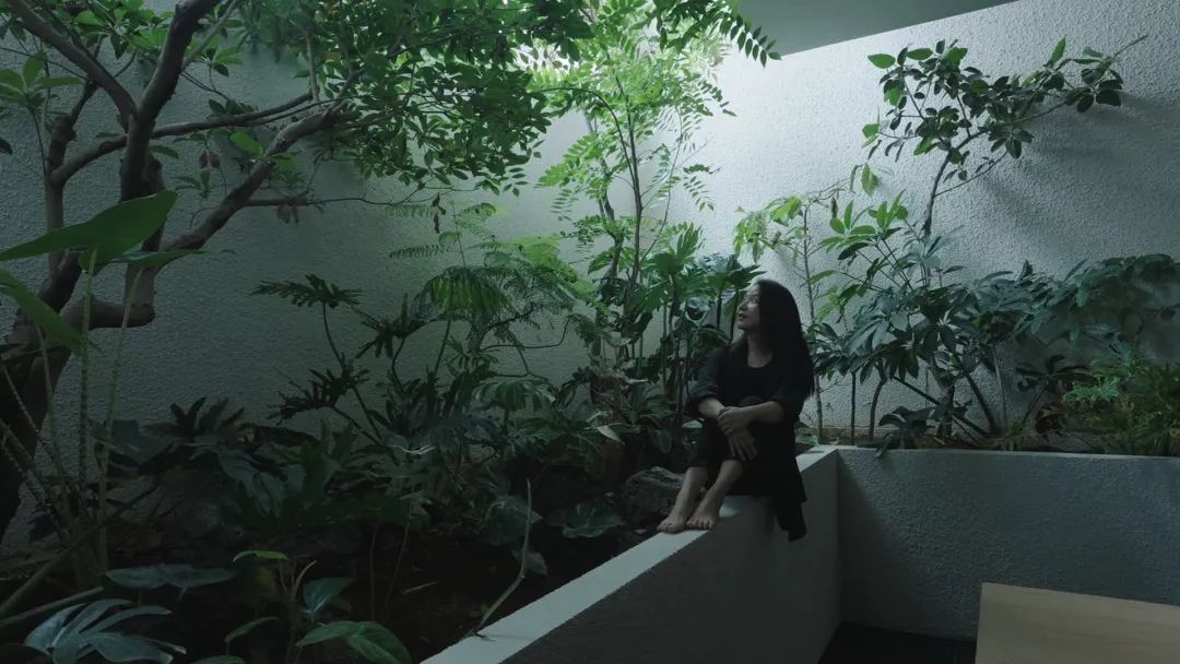 【建言丨对话王旎】建造承载生命轨迹的温暖容器