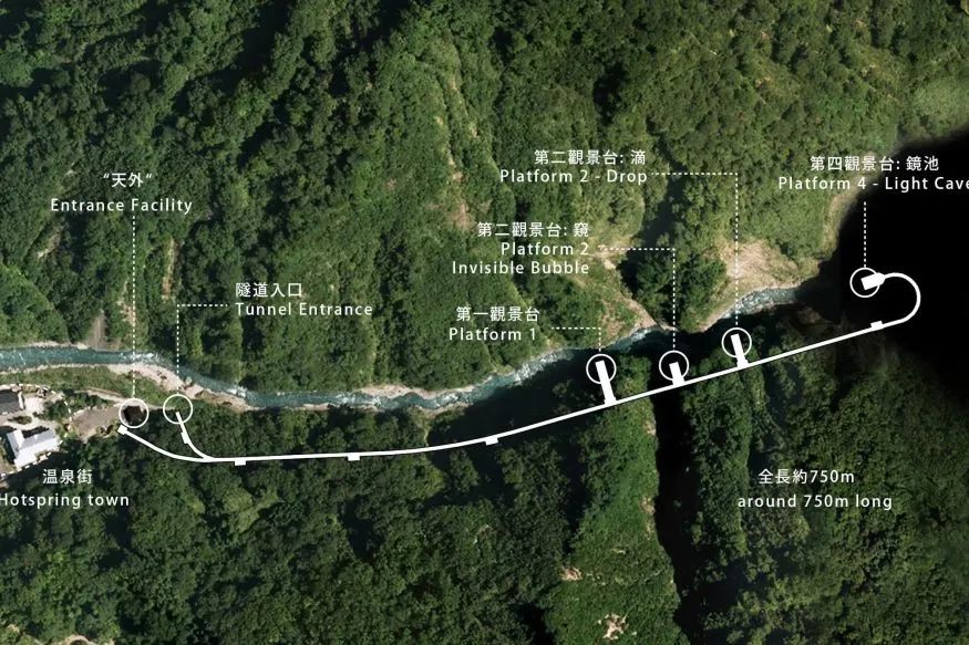 马岩松：做个“野泡泡”