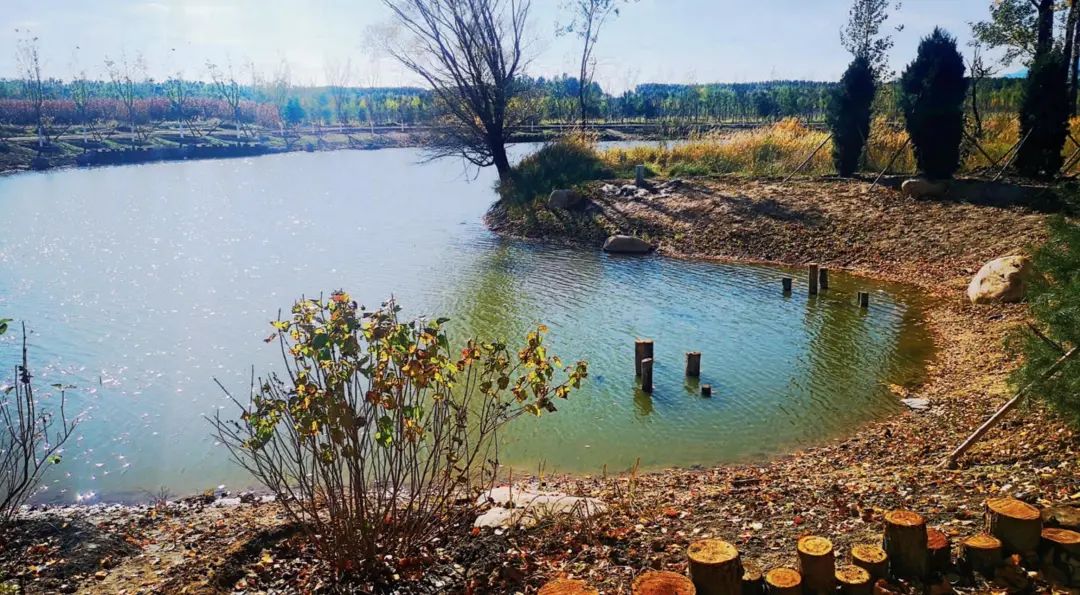 LA专集 | 万木葱翠,十里森境——森林公园规划设计探索