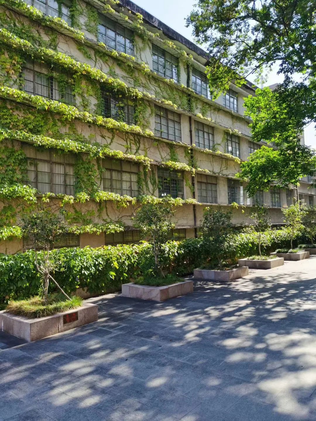 刘文鼎：从历史中回溯建筑