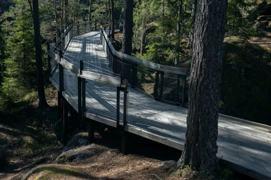 LA专集 | 万木葱翠,十里森境——森林公园规划设计探索