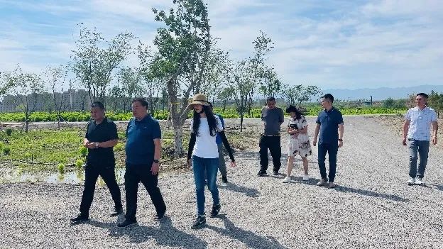 国庆献礼 | 新疆博尔塔拉河生态文化长廊项目新进展