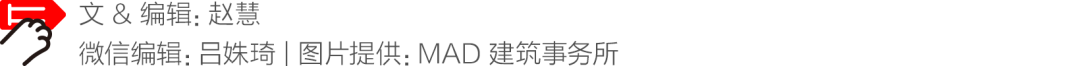 马岩松：做个“野泡泡”
