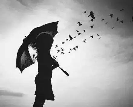 孤独图书馆，798艺术区，雨亭