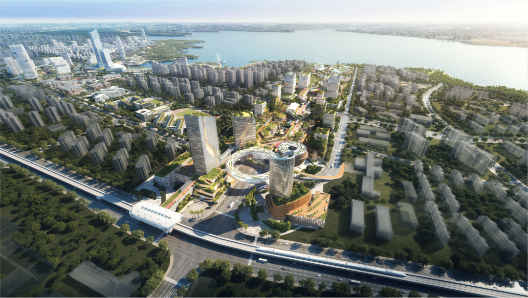 城市与场所 | 红树清风，探索洋浦海城共融