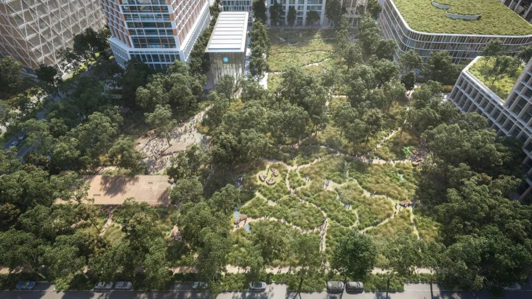 悉尼布拉德菲尔德（Bradfield）中央公园