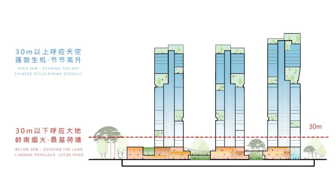 玉兰花开，岭南大地上的未来滨海图腾