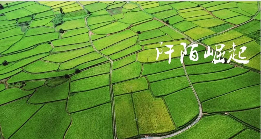 乡村改造,乡村振兴,予舍予筑,上海