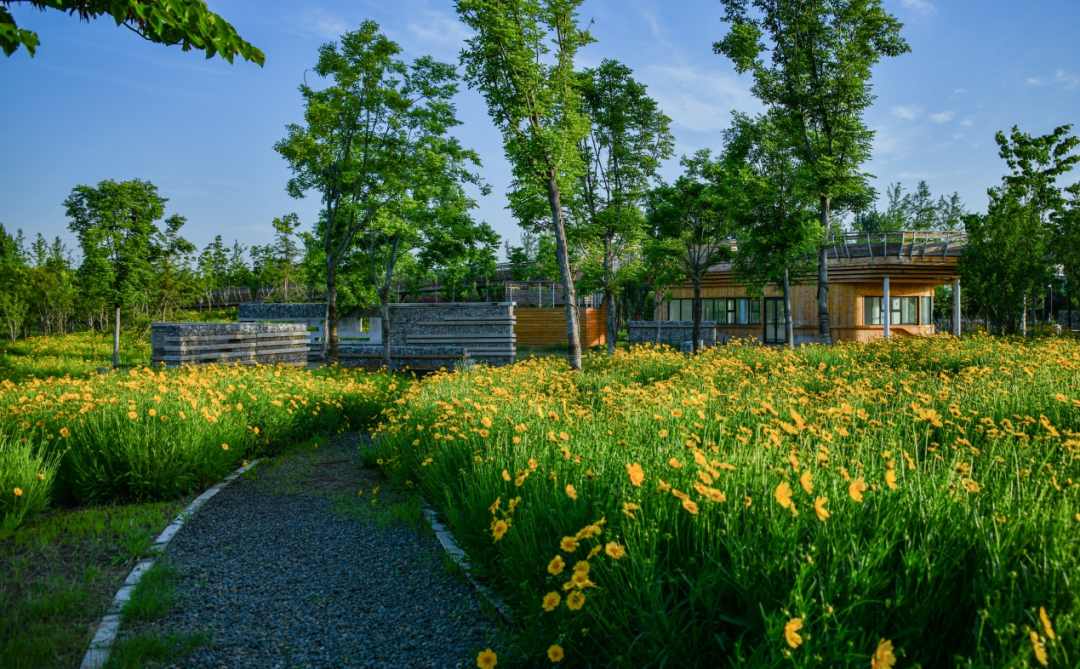 LA访谈 | 做最适合的设计&mdash;&mdash;北林地景孔宪琨副院长专访