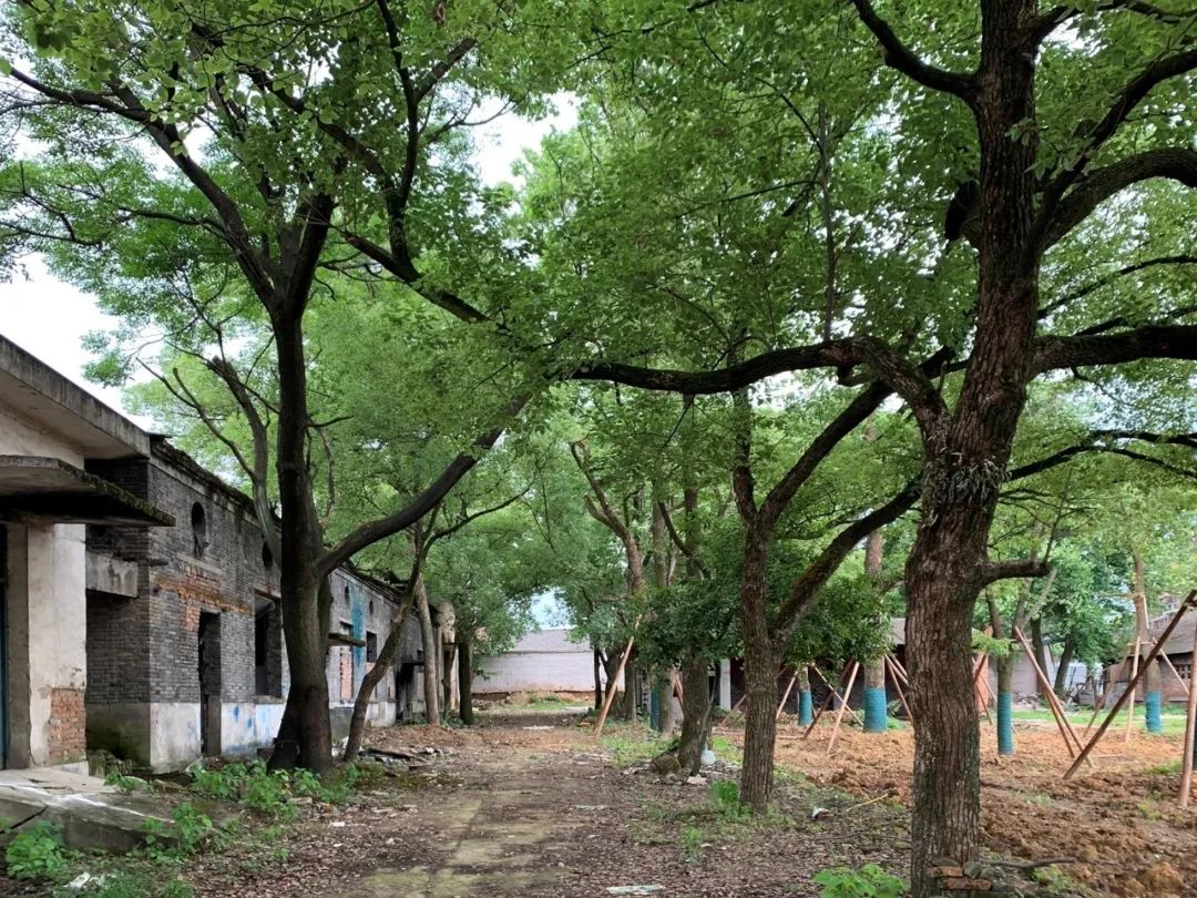 工务署大讲堂 | 董功：平凡之物的再生
