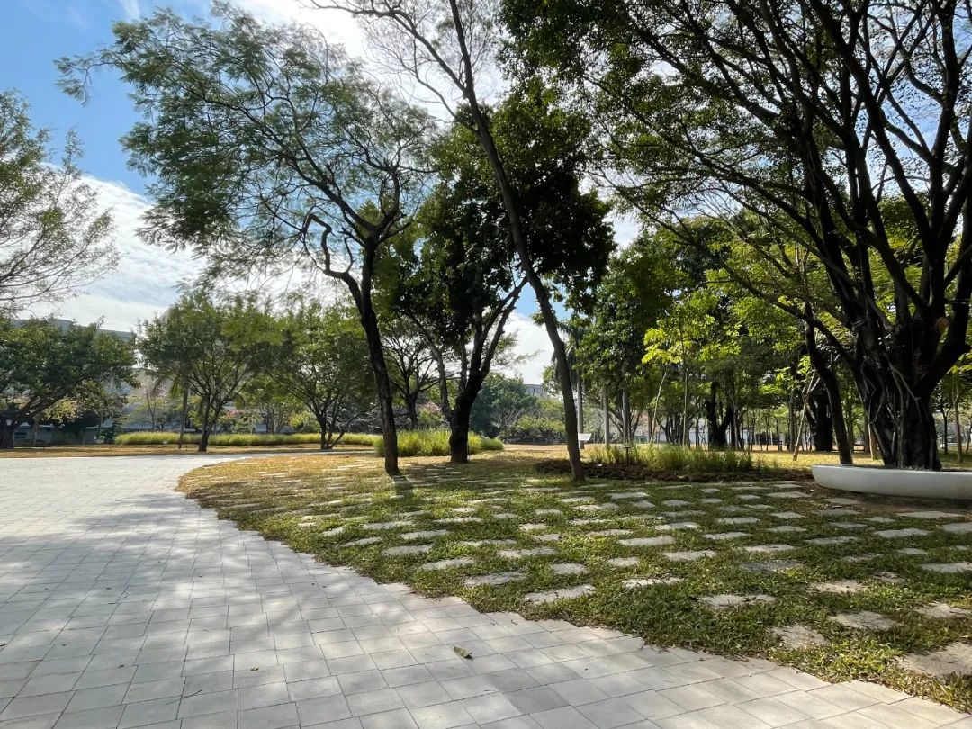 龙园焕活，城水共兴 - 龙岗河干流碧道示范段 龙园水岸 | LA理事风采