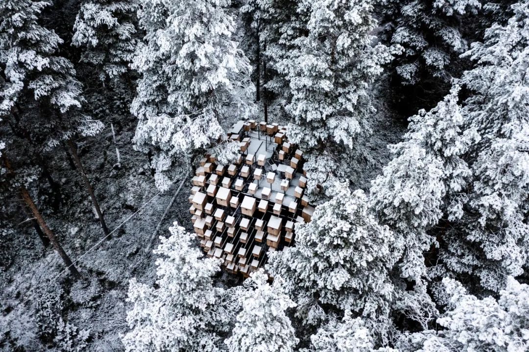 &ldquo;与鸟共栖&rdquo;：Biosphere at Treehotel 入选全球最具奇幻想象力的度假住宿之一