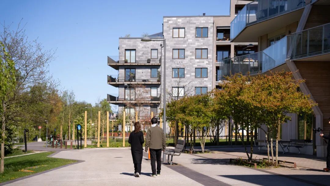 新片发布 | 张望瑞典，回归造物时代