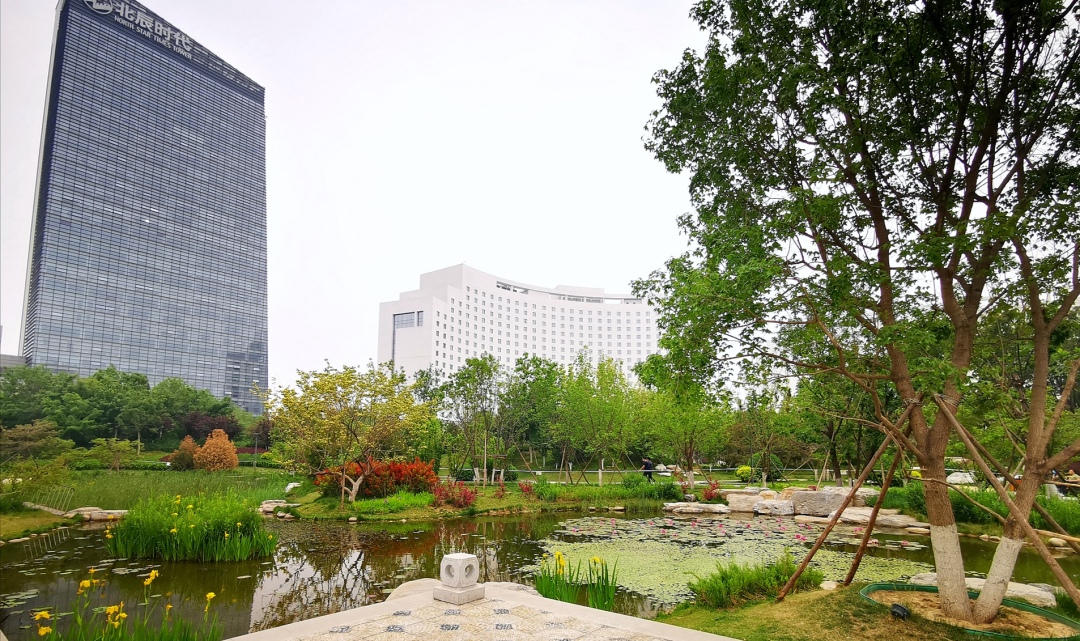 小湿地大生态——北京小微湿地保护修复示范建设项目实践 | LA理事风采
