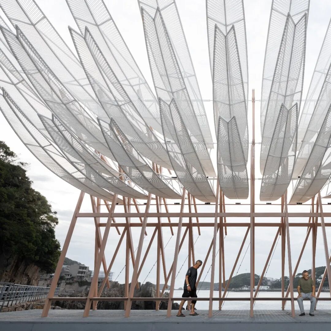 第一期马岩松做主编的domus，我们讨论了什么?