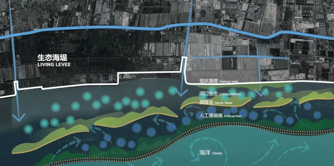 SOM 开放空间设计系列(二):何时?巨变下的多尺度开放空间实践探索