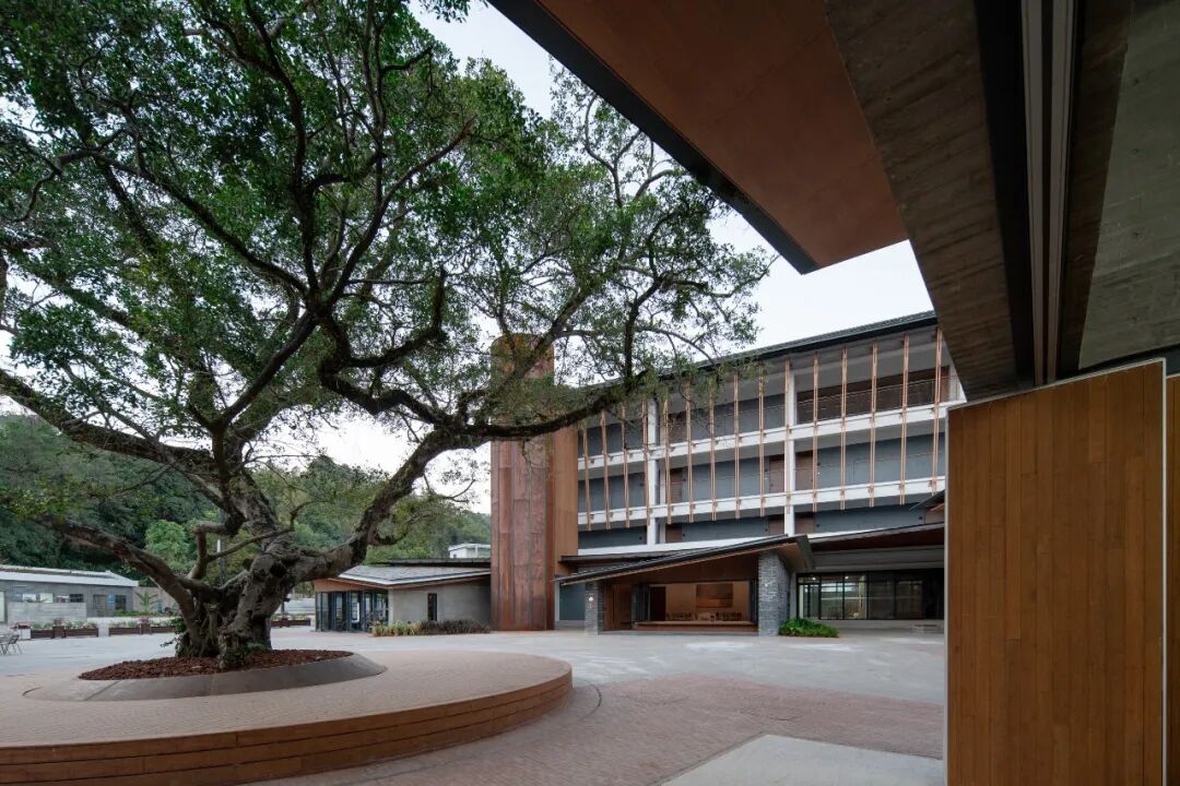line+新作：从废弃小学到社区客厅，惠州徐田有机更新