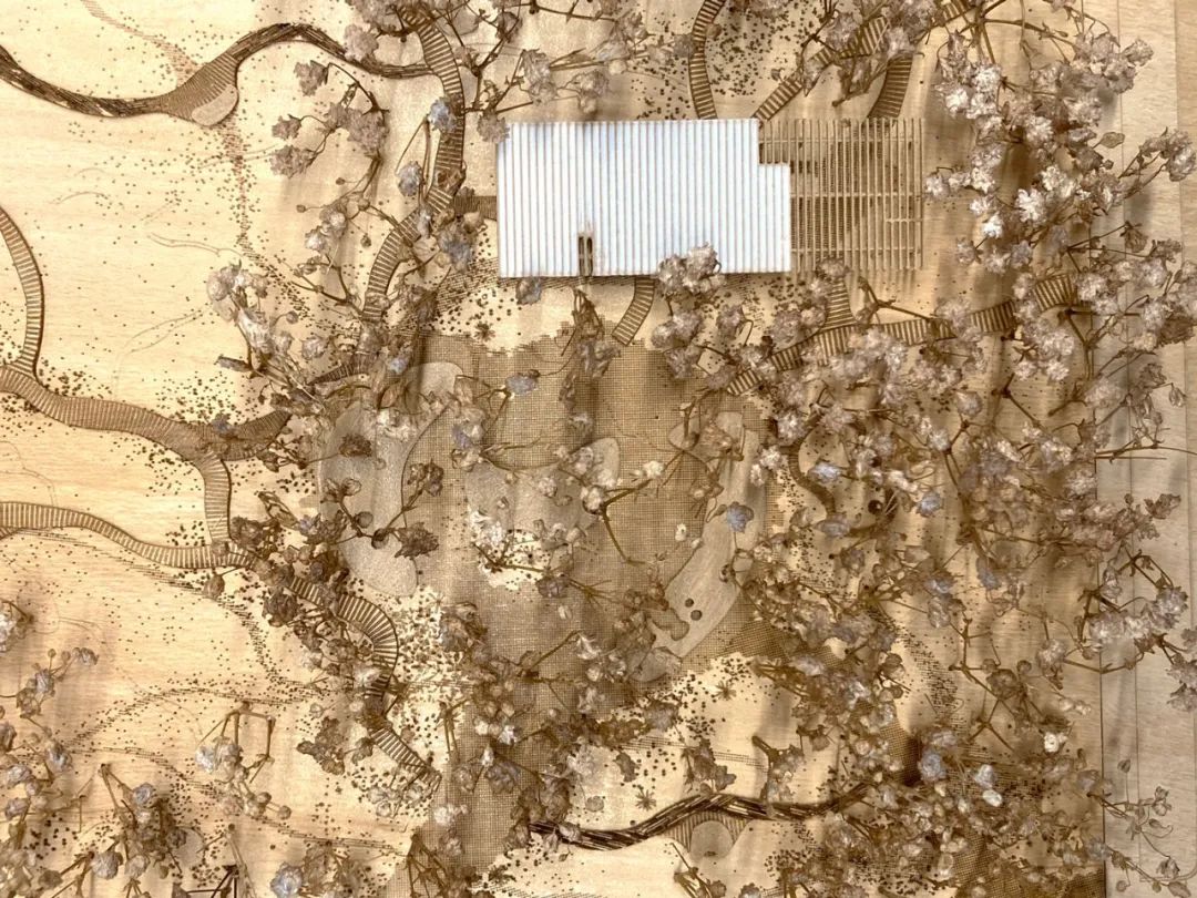 悉尼布拉德菲尔德（Bradfield）中央公园