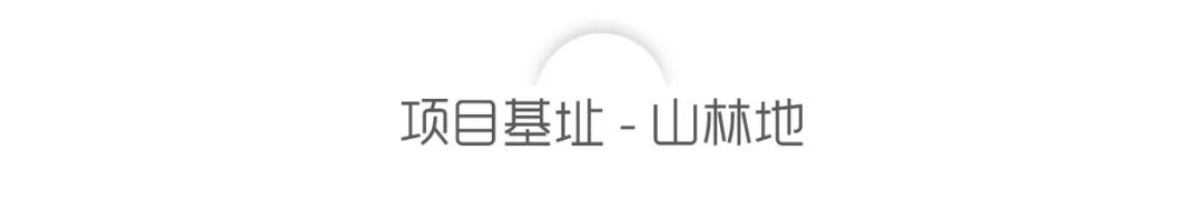 致舍作品 ｜ 隐入山林——阿那亚三亚南花园