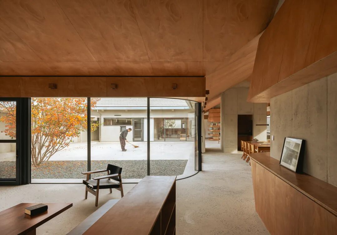 成直:我的社会价值“不参与”