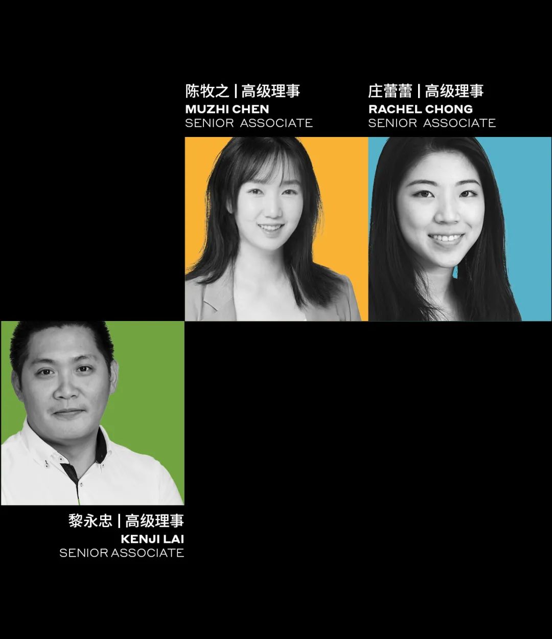 新任命 | 伍兹贝格公布新晋高级理事及理事