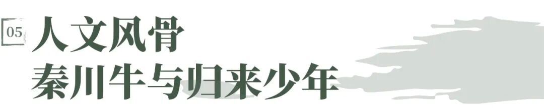 院庆特辑&middot;城见 | 赵元超：大地书写，为城市立传