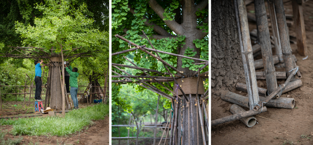 UK Studio Design｜拥抱可持续 / 竹装置&mdash;&mdash;Tree of Life