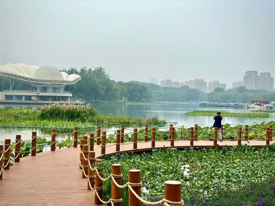 亮马河重生：从&ldquo;城市河道&rdquo;到&ldquo;生活水岸&rdquo;的更新样本