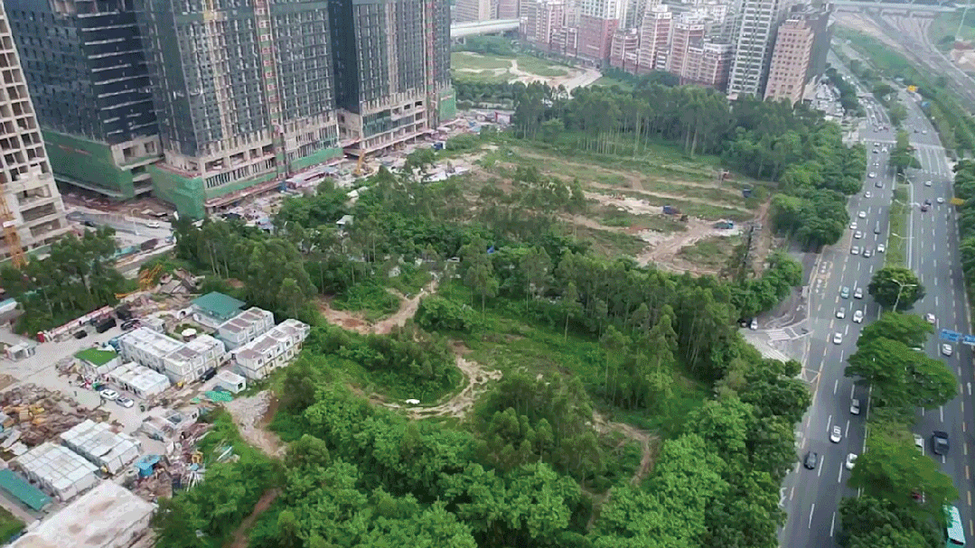 深圳市新华医院：一座花园式的疗愈医院