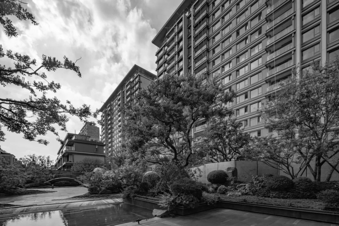 千年风雅，宋代审美为何历久弥新 | 上海保利&建发·印象青城【致逸现场】