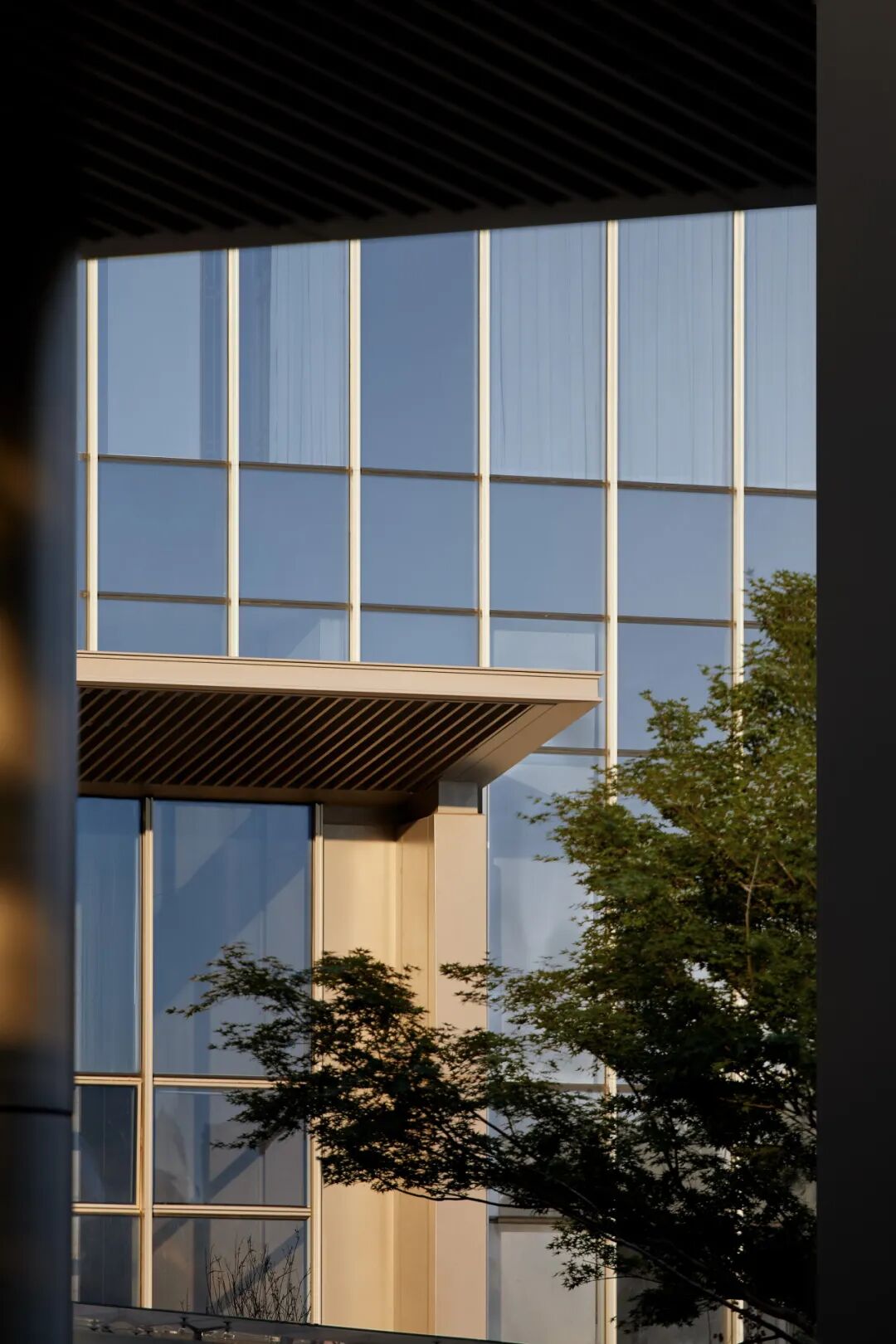 城市综合体的理性与温度 | 南京金地中心·菁华【致逸精筑】