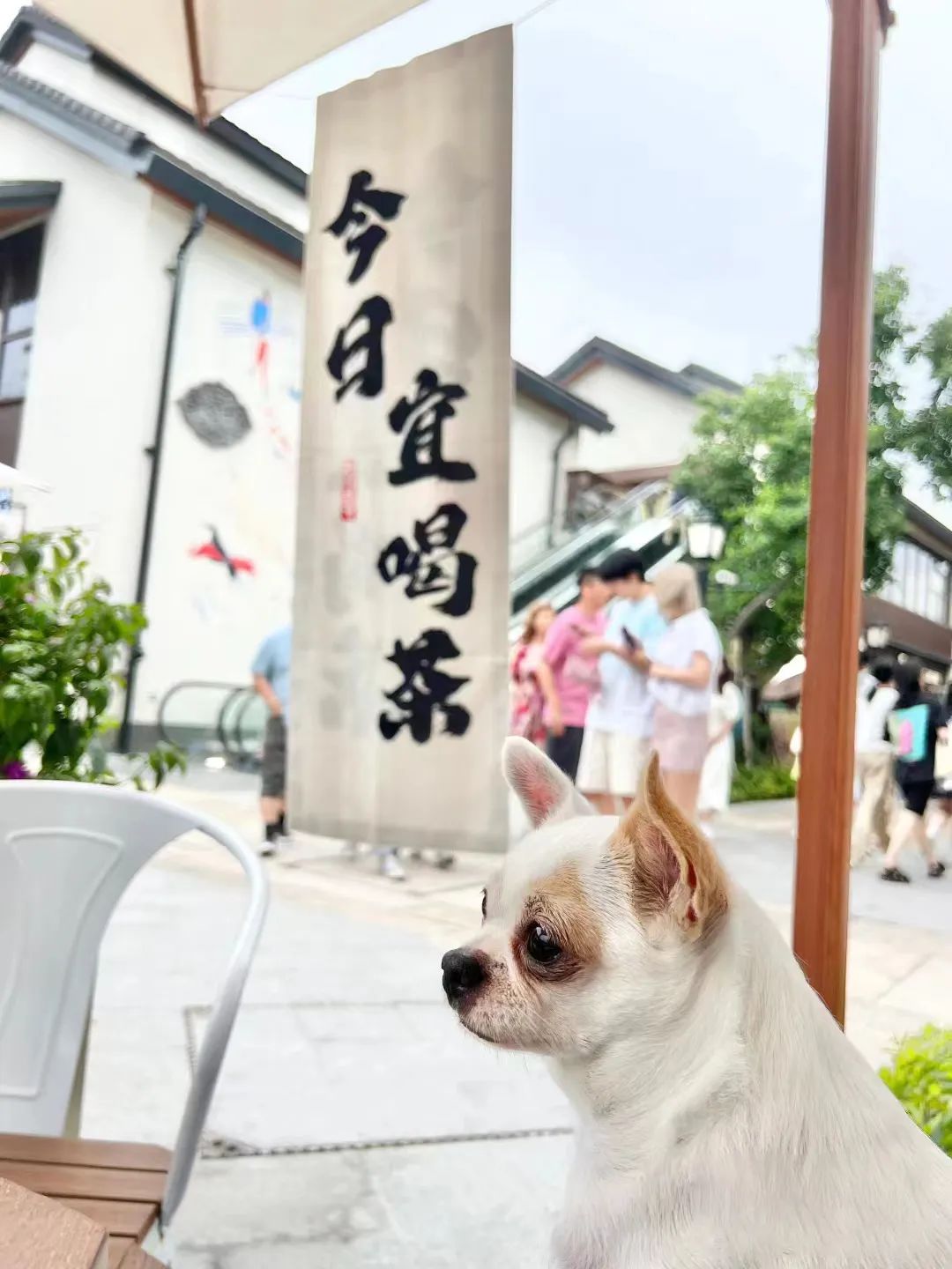 减压抗忧，探索疗愈经济的消费新浪潮