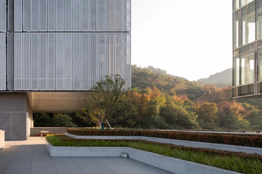 【建言丨对话吴彦】重构日常，营建社区与生活的深度连接