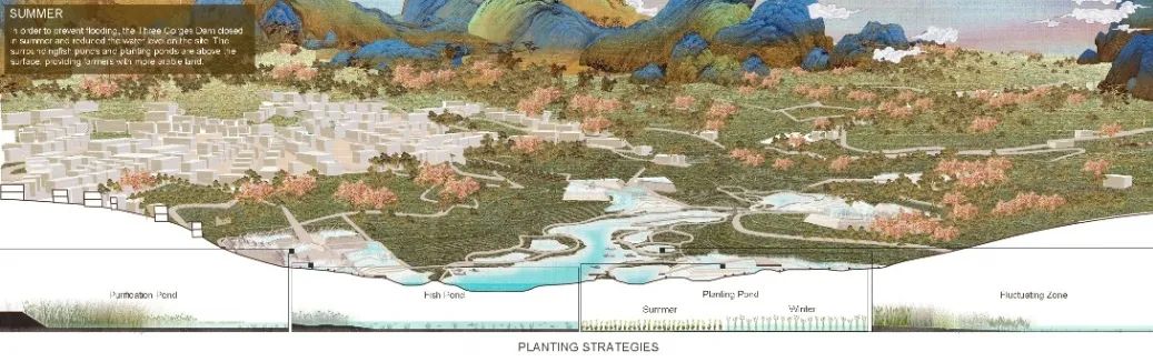 学生团购享优惠 | 4周快速入门Rhino景观建模