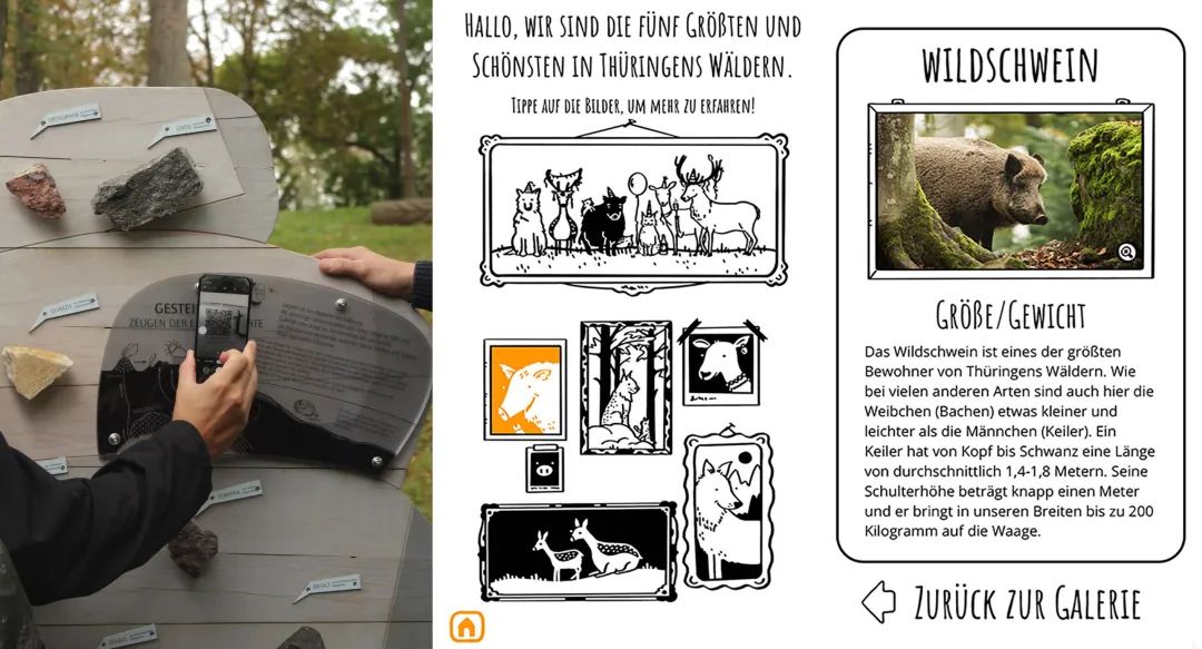LA专集 | 万木葱翠,十里森境——森林公园规划设计探索