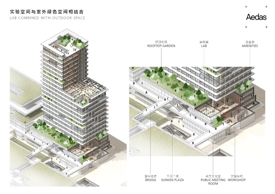 Aedas新作 | 横琴科学城三期，科学半岛的城市绿洲，生物医药产业的工作生活共同体