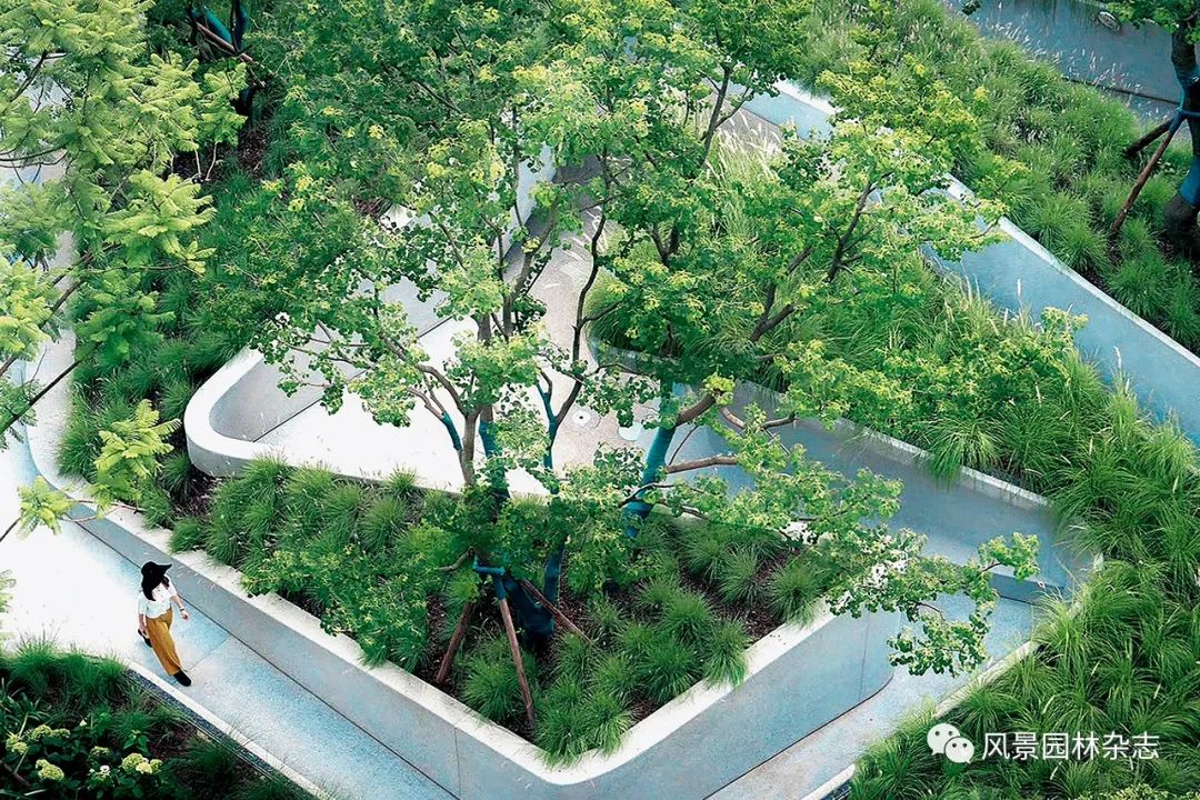 LA作品 | 唤醒城市空间下的滨水记忆：成都麓湖穿水公园设计