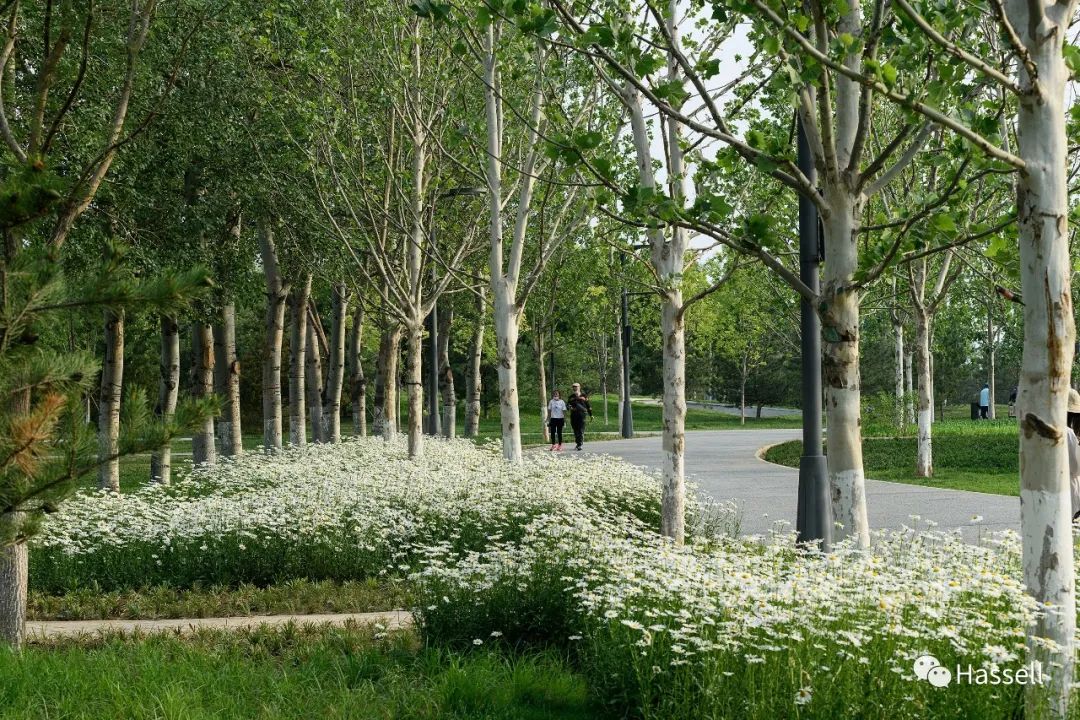 北京通州城市绿心森林公园项目再获殊荣 — AILA 2022年度国家景观设计大奖