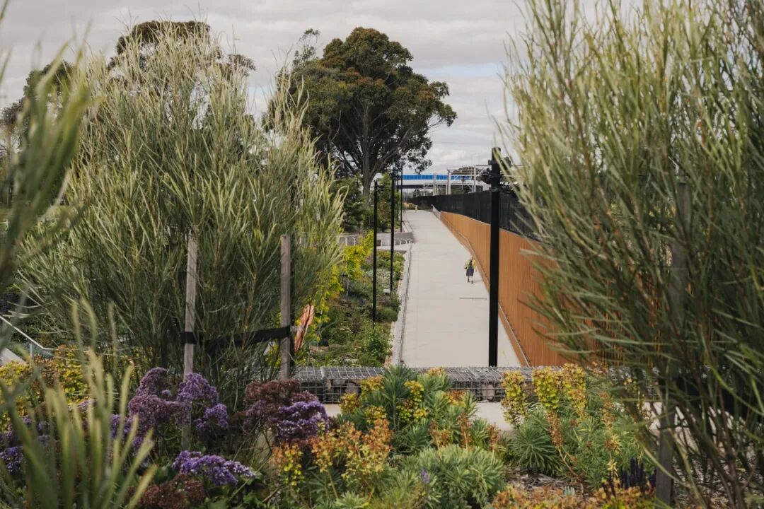 再生型城市交通：为气候变化中的城市设计基础设施