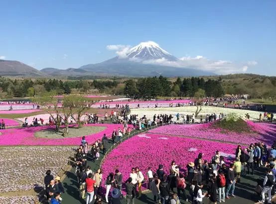 国际景观之声·日本篇 | 8h如何快速get日本景观精髓？