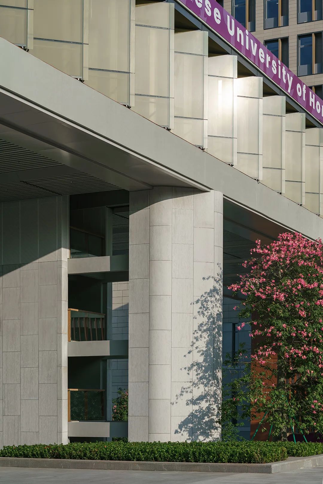 香港中文大学（深圳）二期丨山水林间，在地生长