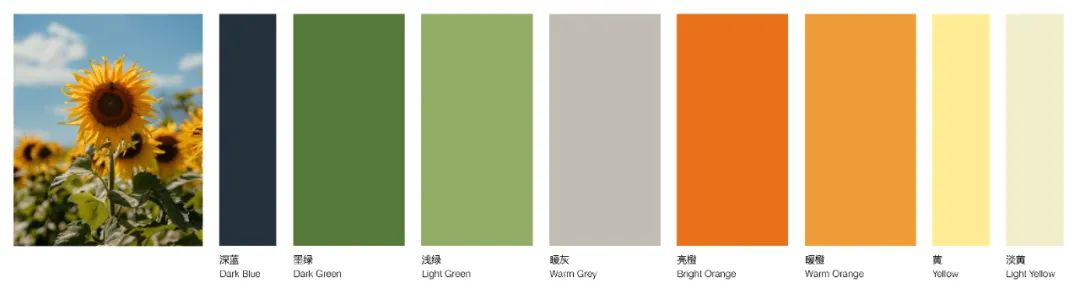 新作 | 艾儿思国际幼儿园:学习的艺术