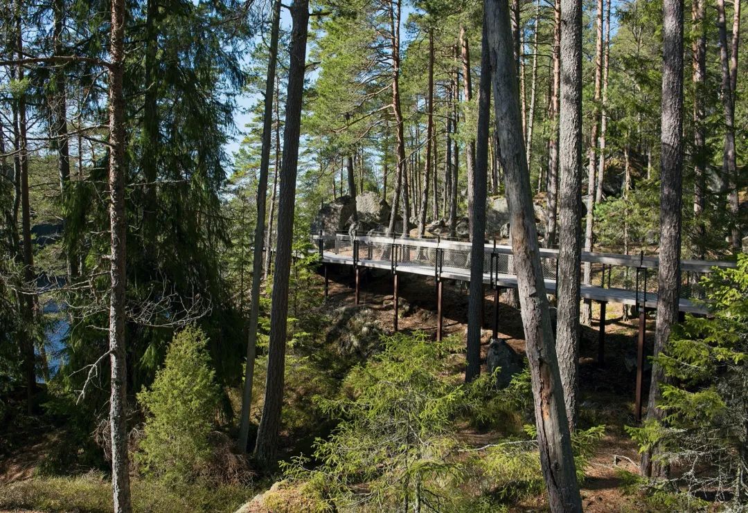 LA专集 | 万木葱翠,十里森境——森林公园规划设计探索