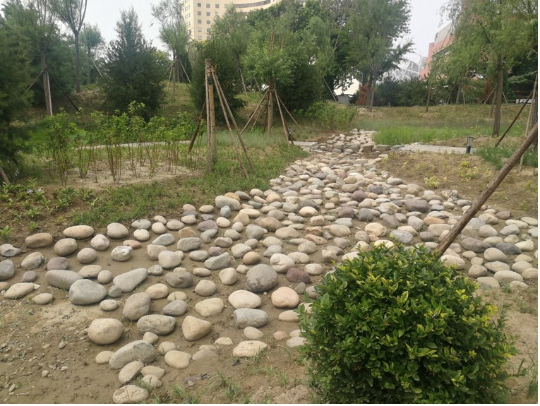 小湿地大生态——北京小微湿地保护修复示范建设项目实践 | LA理事风采