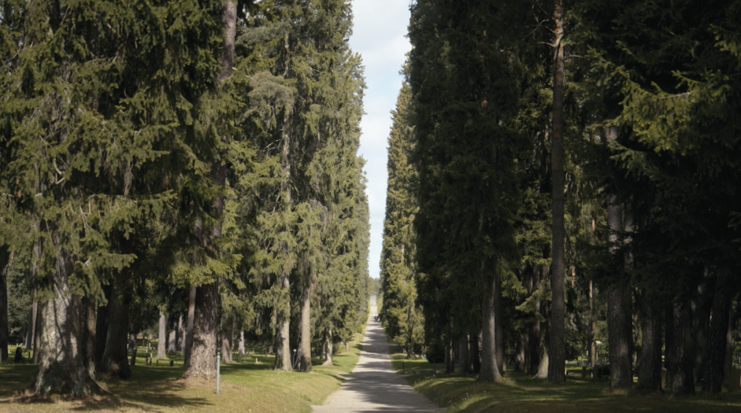 新片发布 | 张望瑞典，回归造物时代