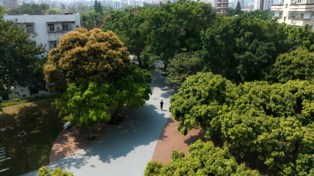 龙园焕活，城水共兴 - 龙岗河干流碧道示范段 龙园水岸 | LA理事风采
