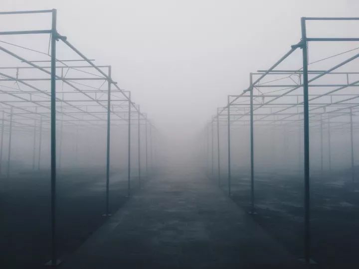建筑师，生命力，潘冀