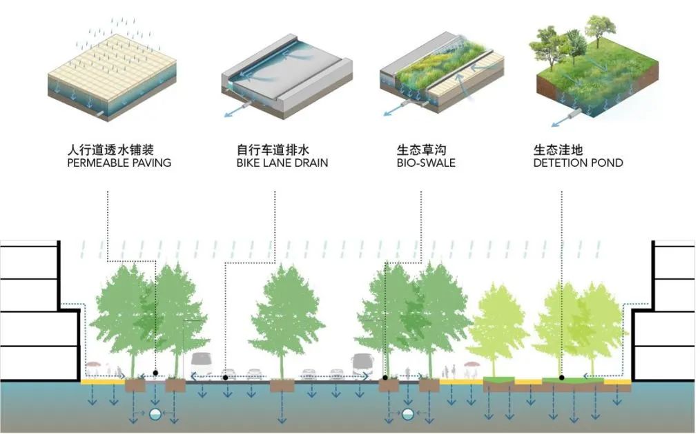 一体化统筹水,绿,岸,建筑,能源,地下空间和海绵城市等多要素设计,实现