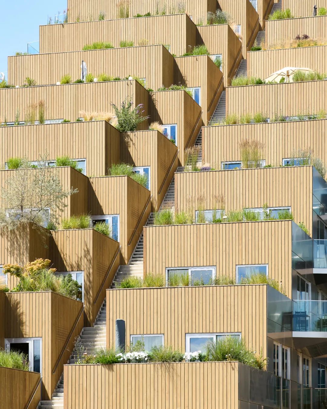 Sluishuis：阿姆斯特丹水上庭院社区