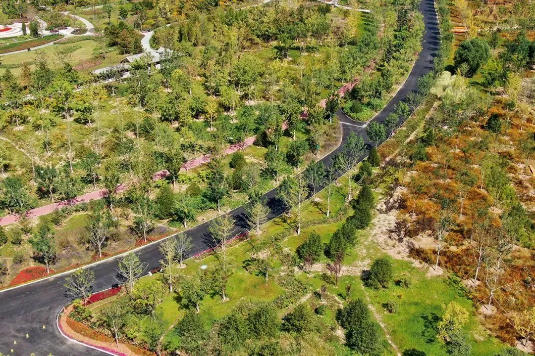 LA专集 | 万木葱翠,十里森境——森林公园规划设计探索